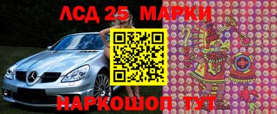 прущие грибы Моздок