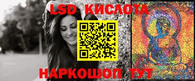 прущие грибы Моздок